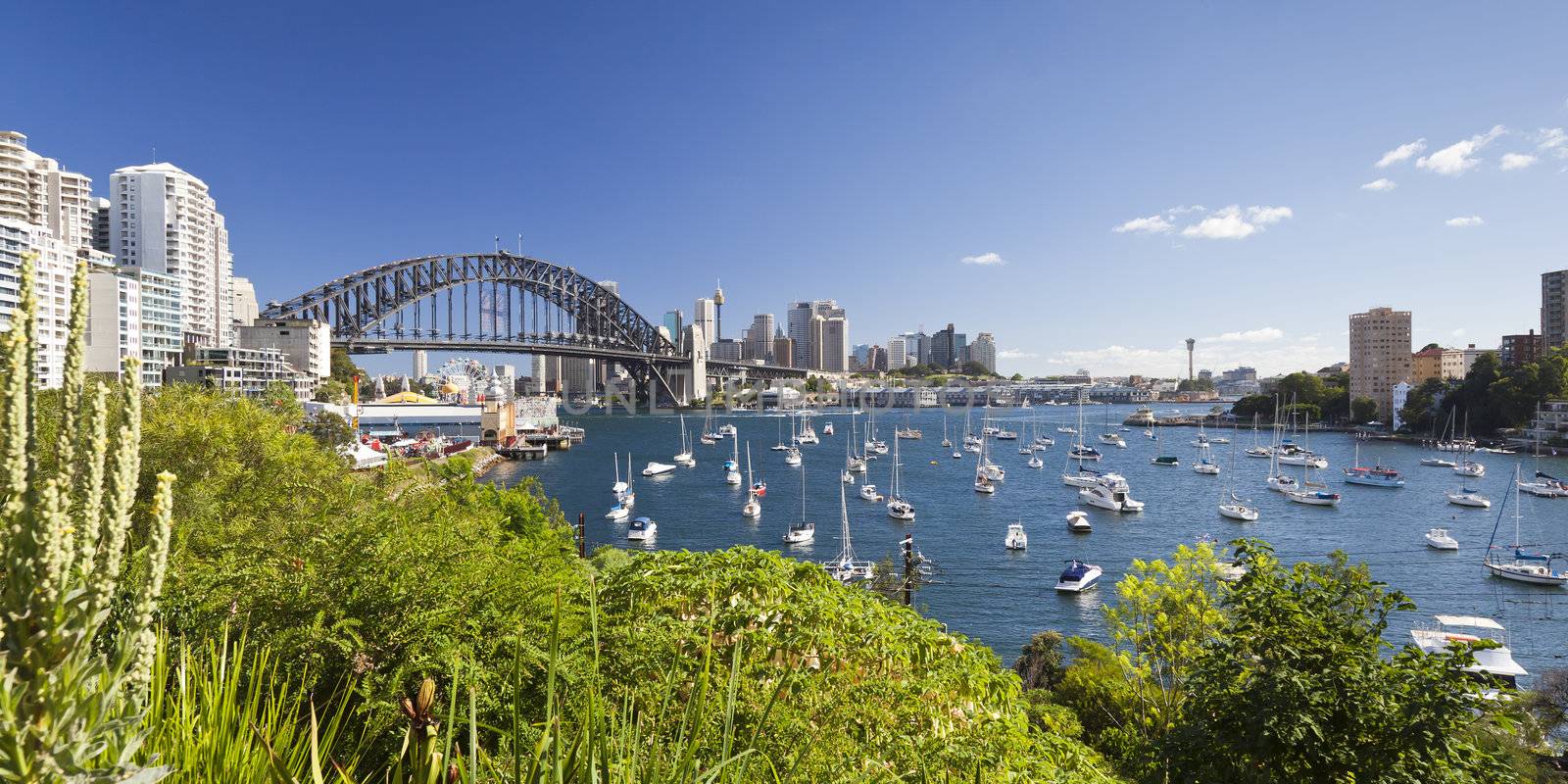 An image of harbour bridge in Sydney