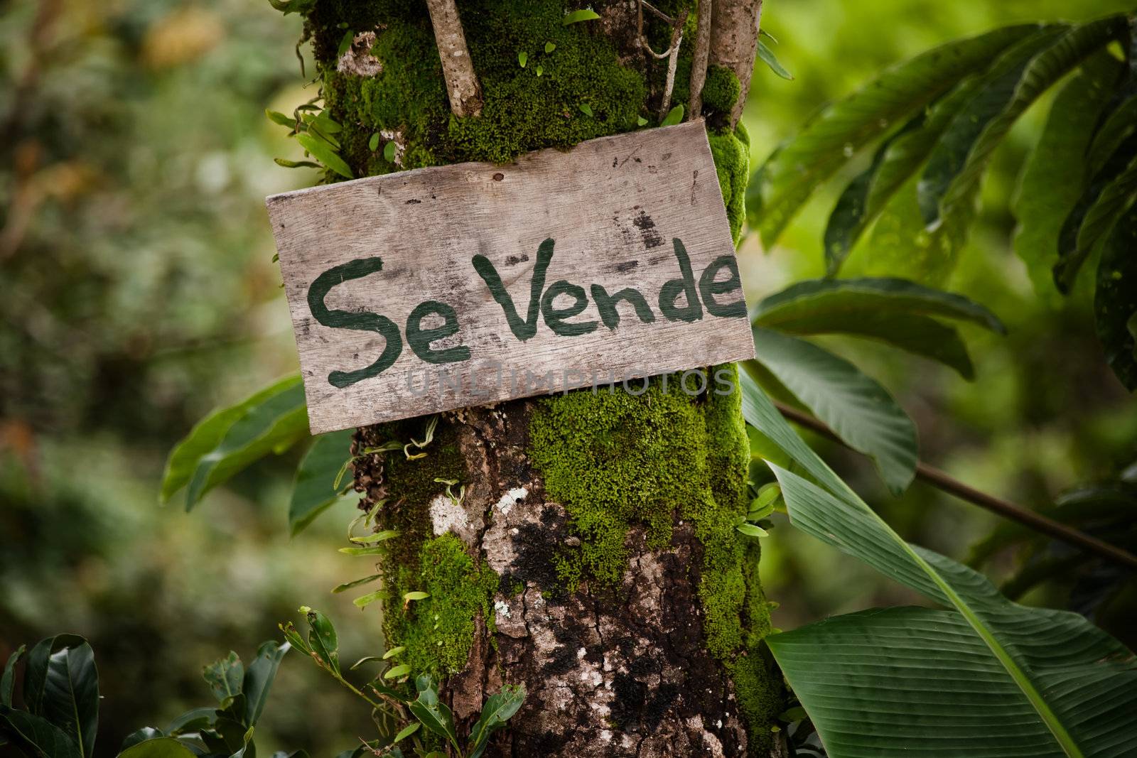 Wooden sign announcing real estate for sale in Costa Rica