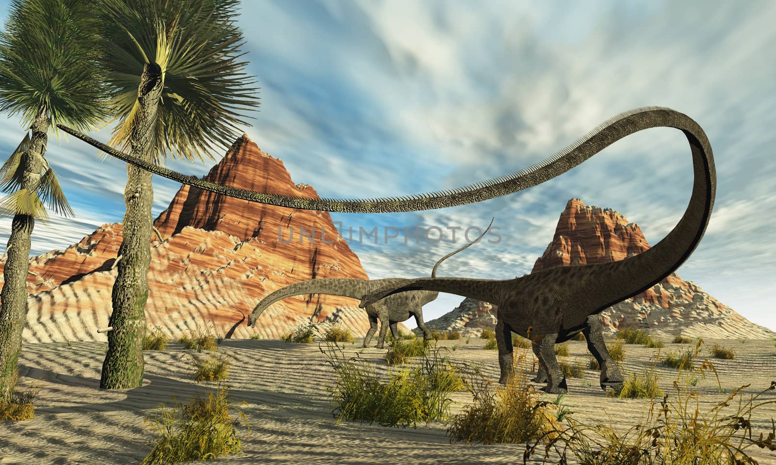 Two Diplodocus dinosaurs search for food in a desert landscape.