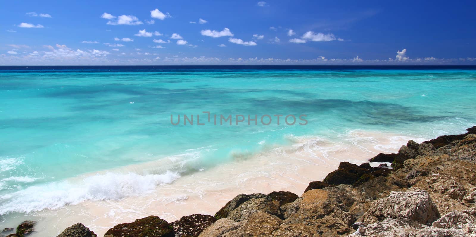 A view of the Atlantic Ocean from the rocky coast of Barbados.