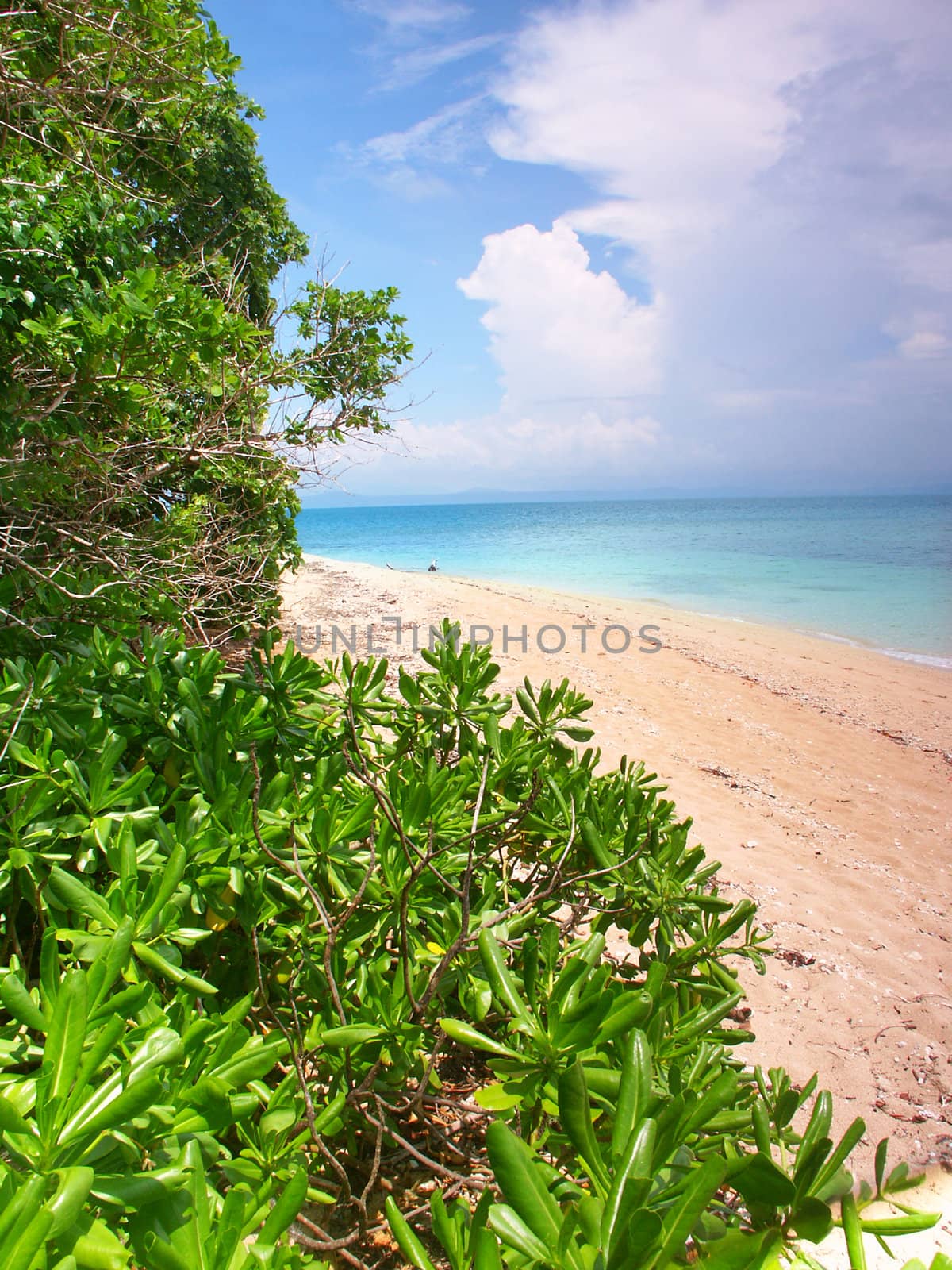 A thatched umbrella on the Low Isles of tropical Queensland, Australia.