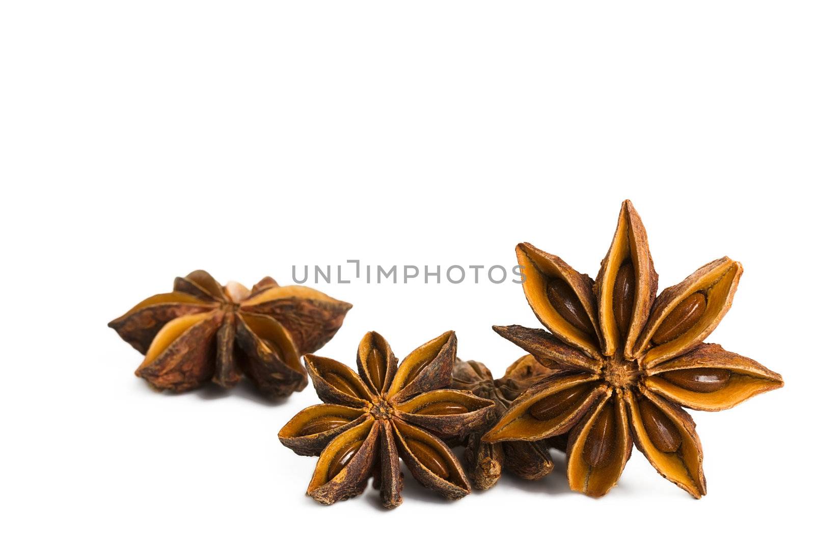 some star anise by RobStark
