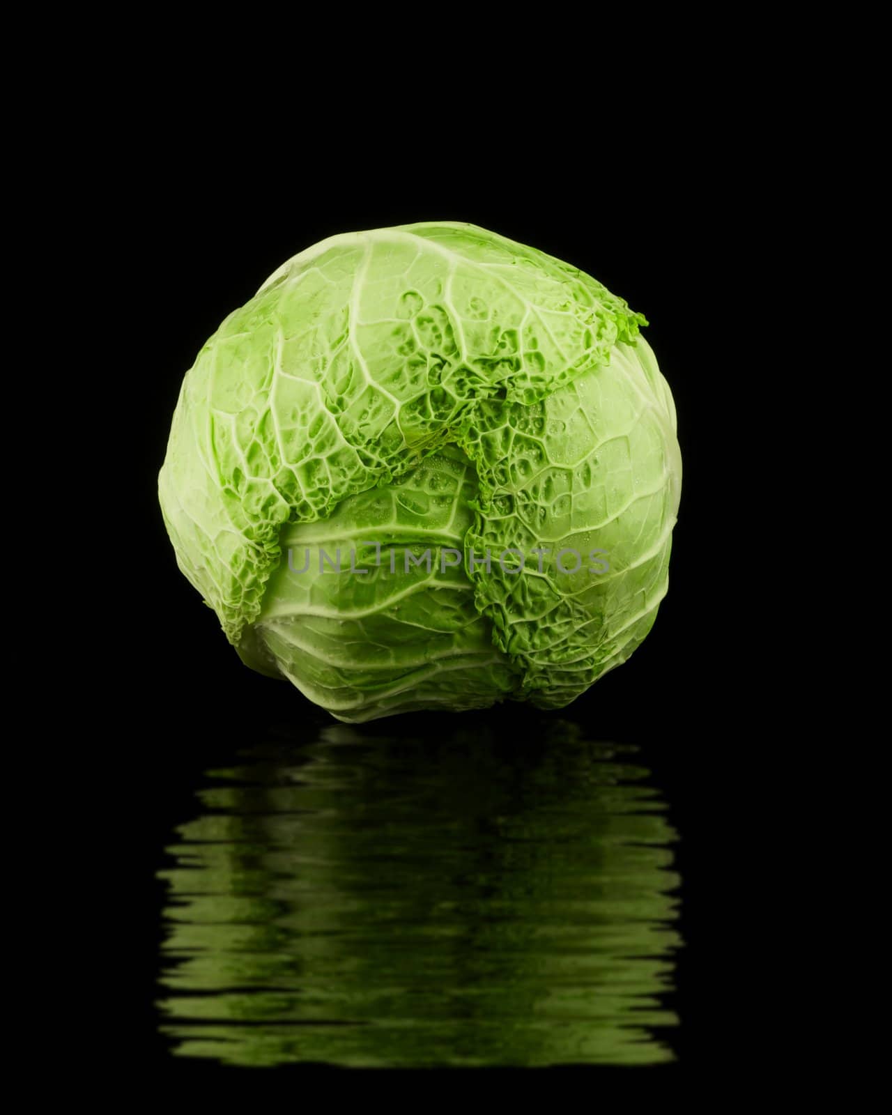 Cabbage head isolated on black with ripple reflection