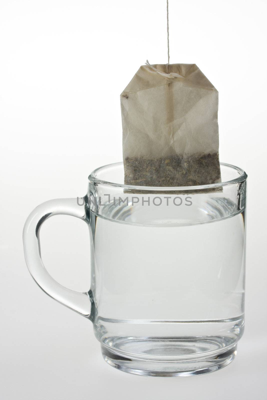 glass of herbal tea isolated on white