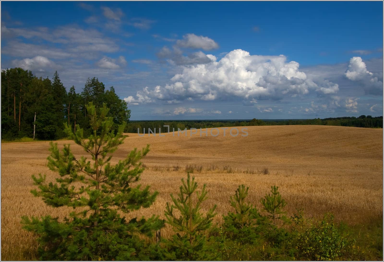 Clouds and Land;