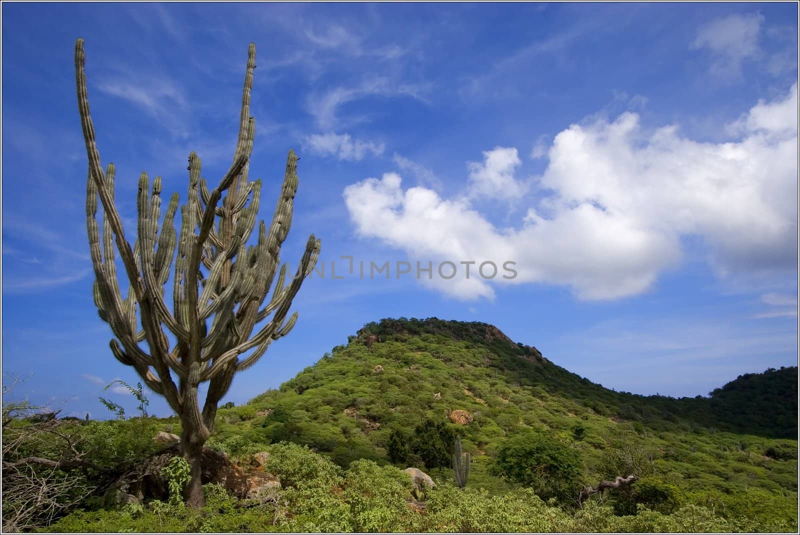 Clouds and Land;