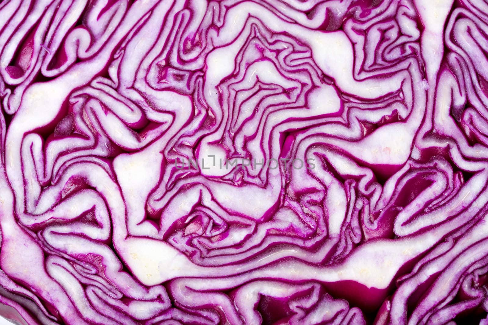 detail of slice of a red cabbage by bernjuer