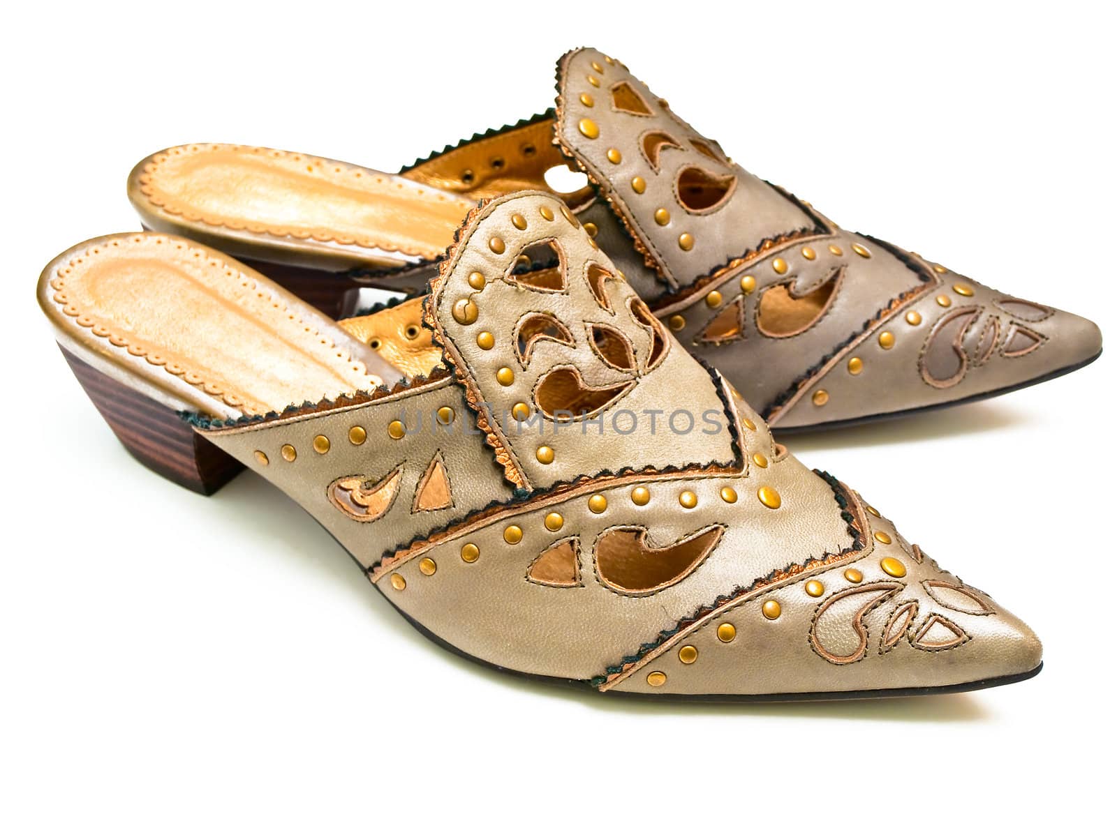 woman shoe against the white background