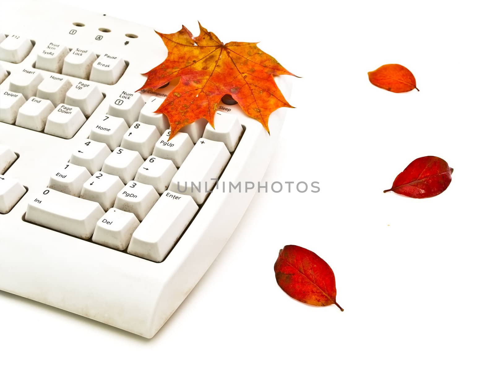  Photo of the keyboard whith  bright autumn leaves