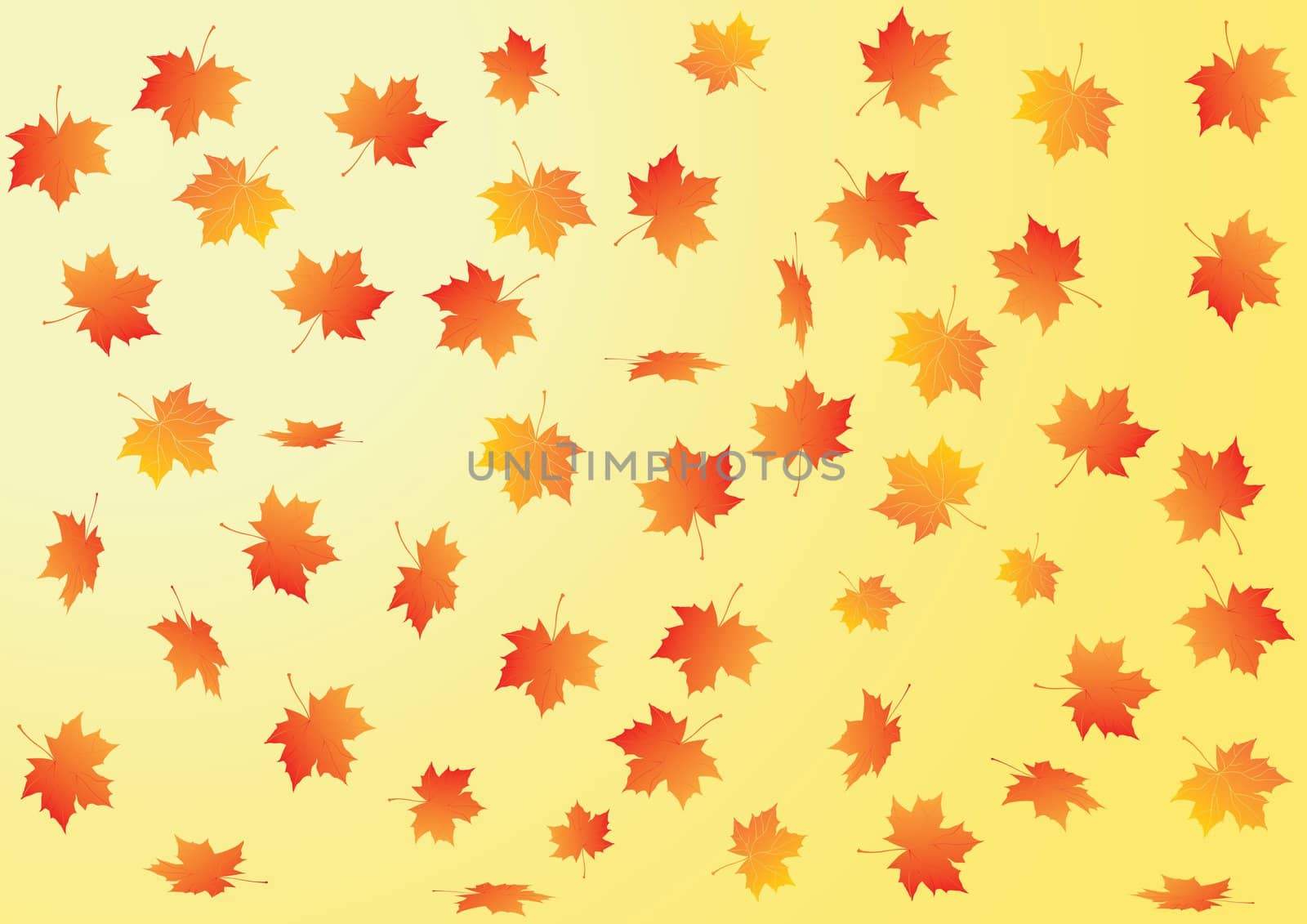 Vector autumn background with maple leaves
