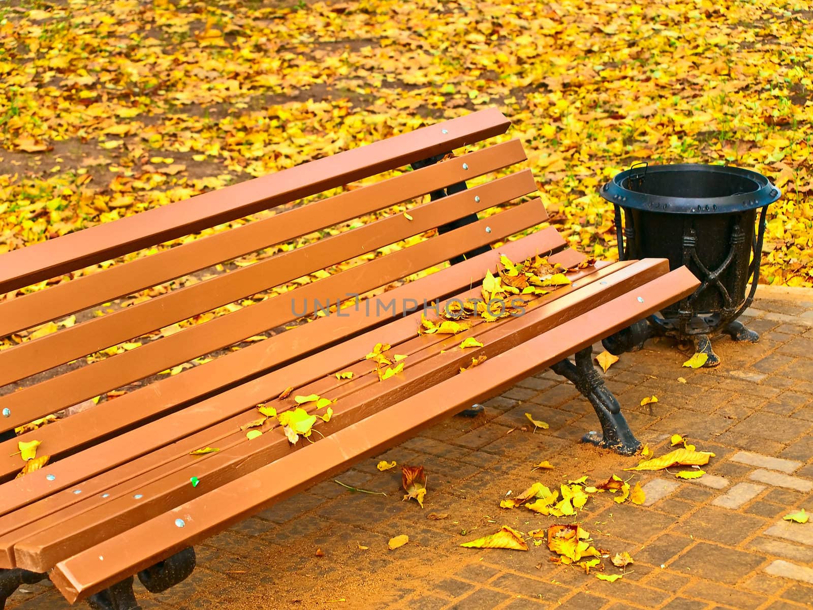 Brown bench and urn against yellow maple leaves