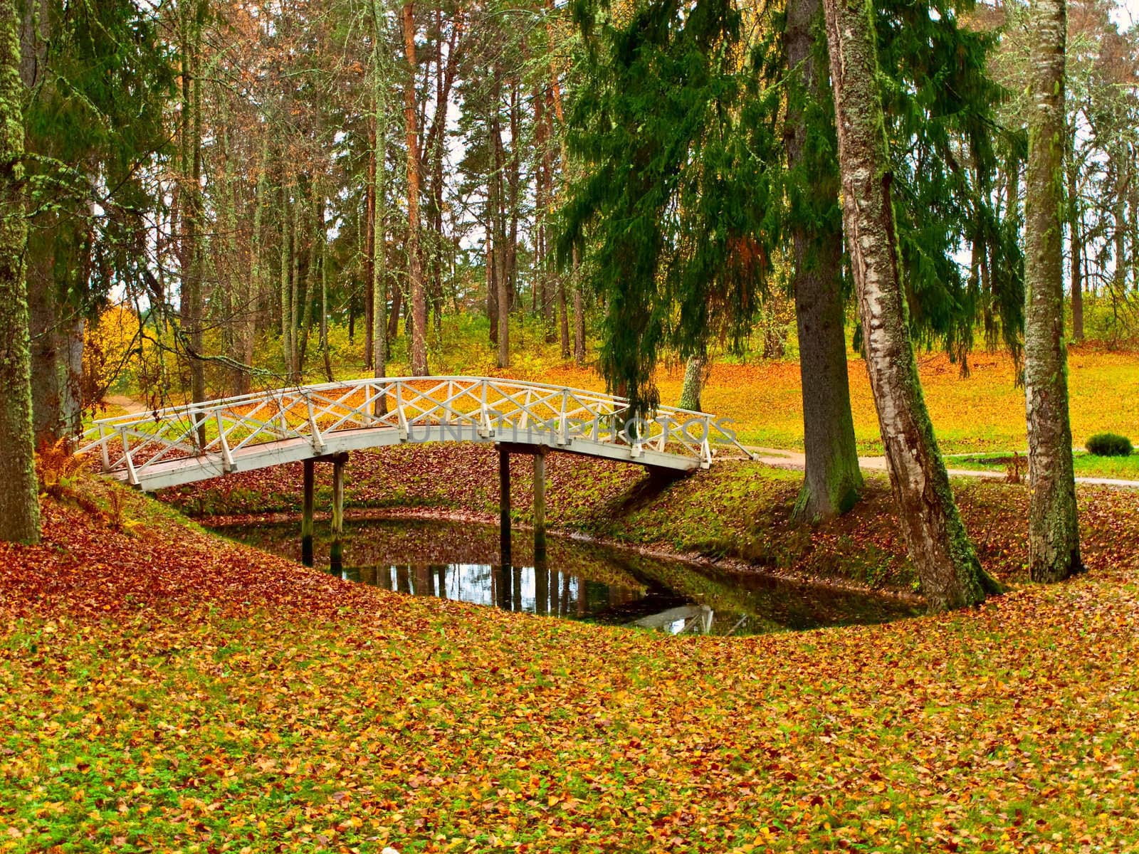 pond and bridge in autumn park