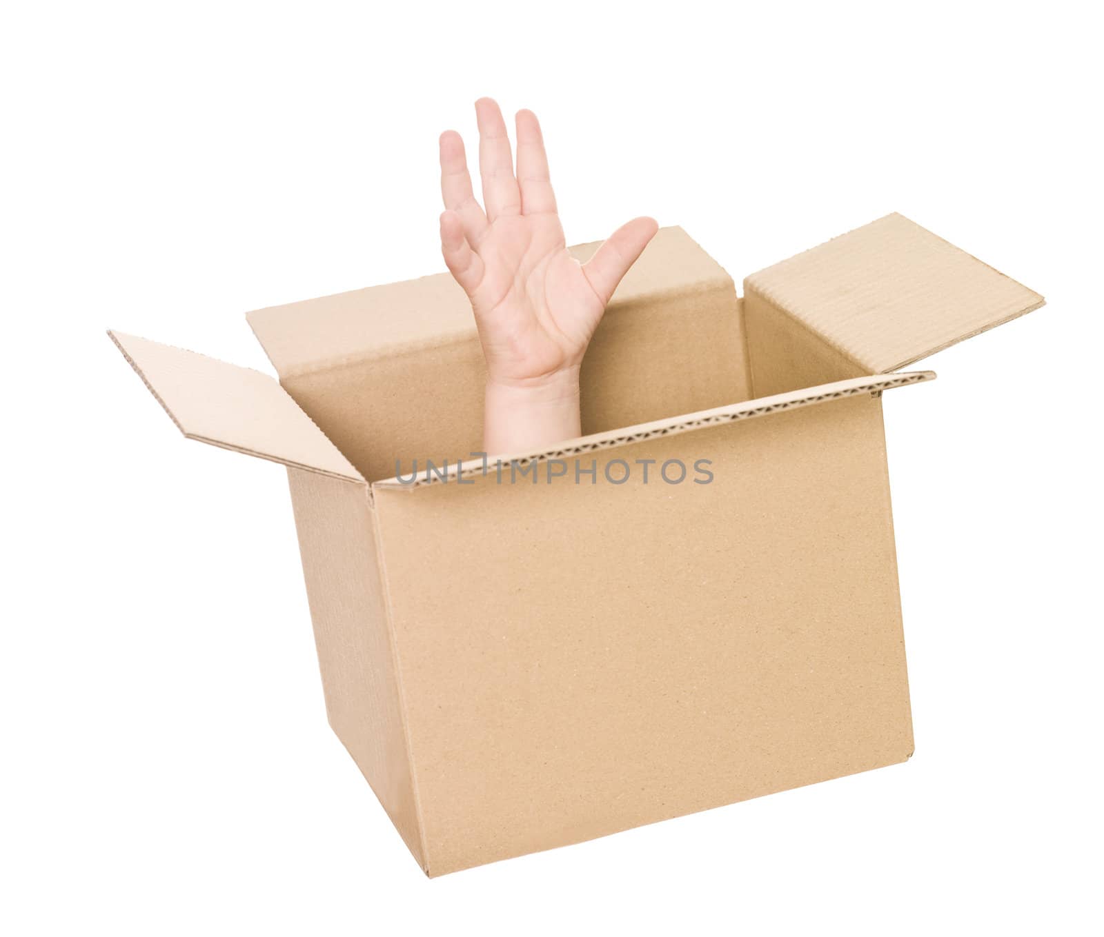 Hand coming up from a cardboard box isolated on white background