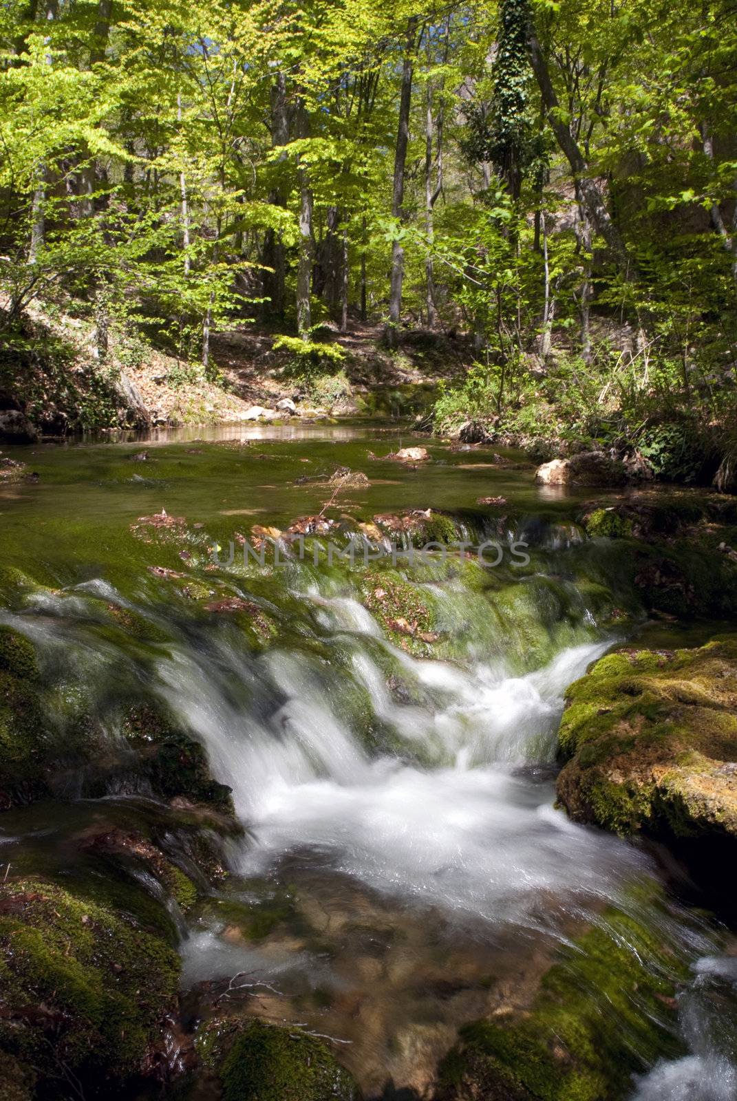 Waterfall in the forest