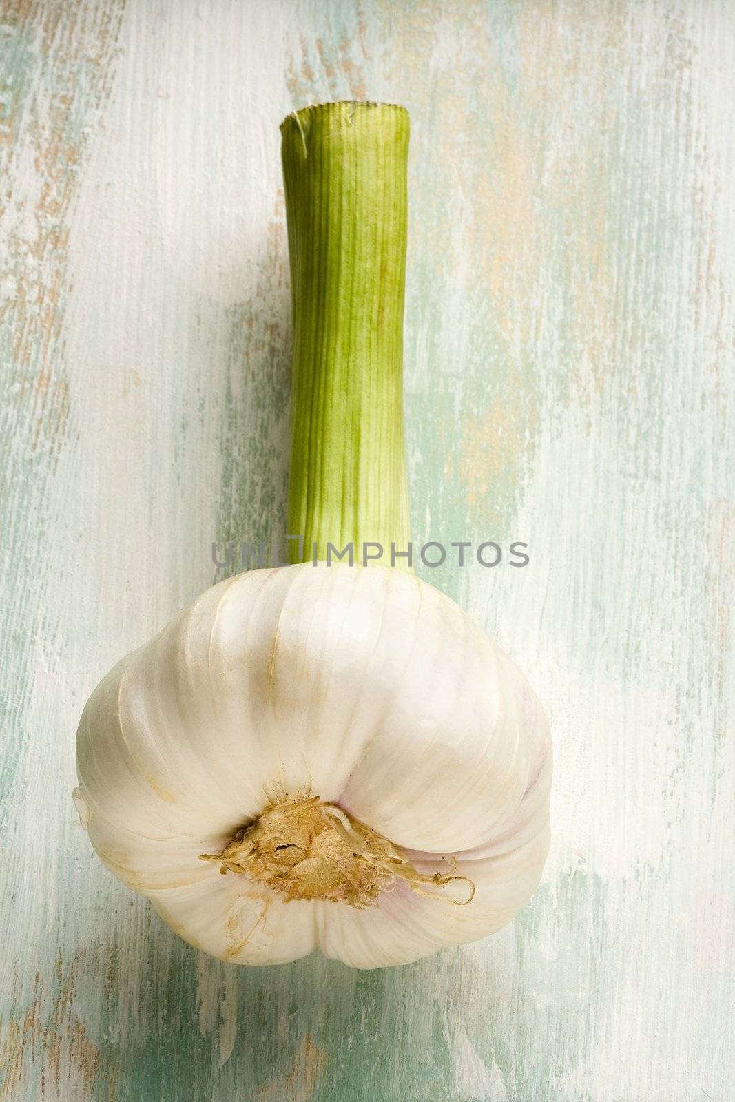 Garlic on a blue table
