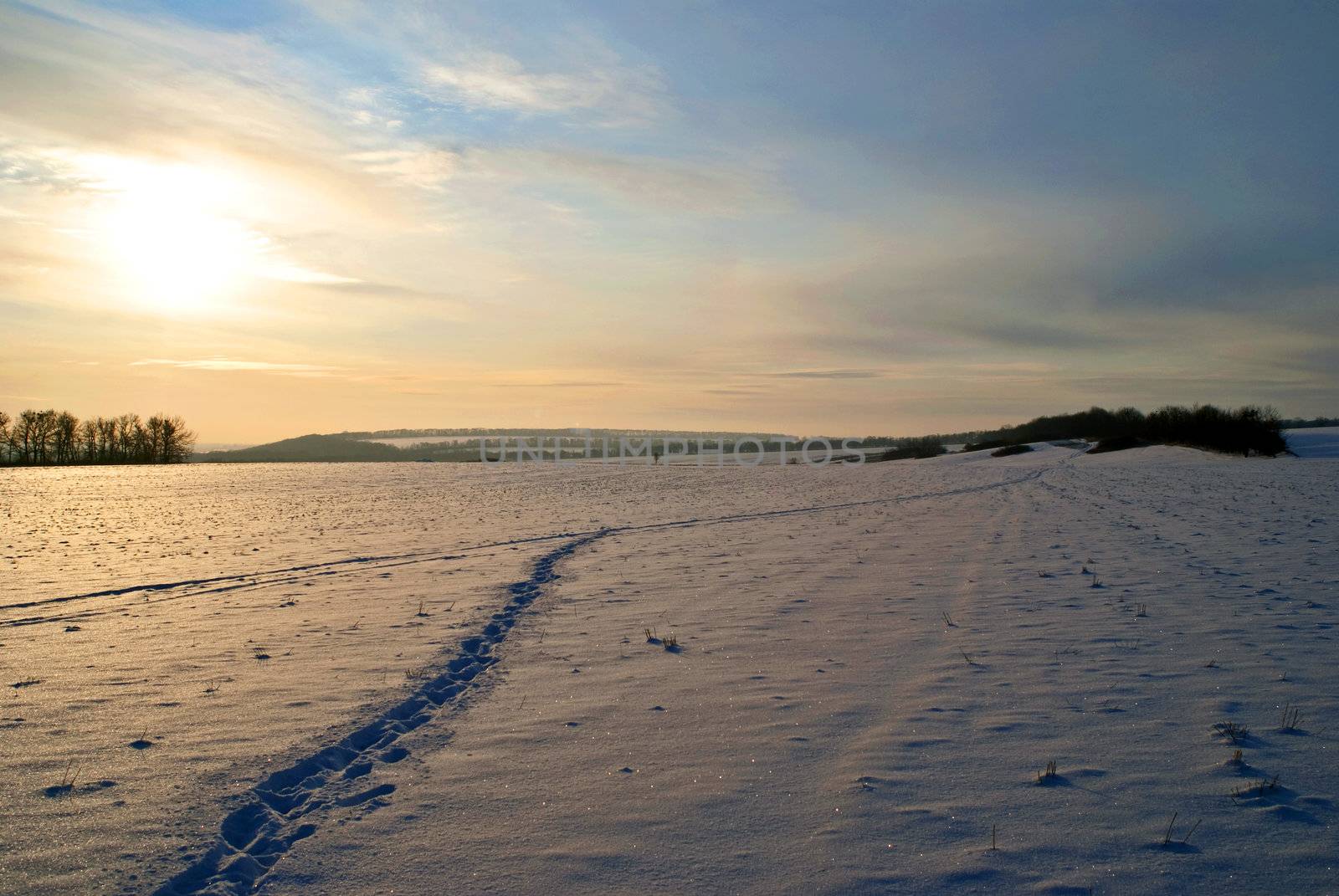 winter field