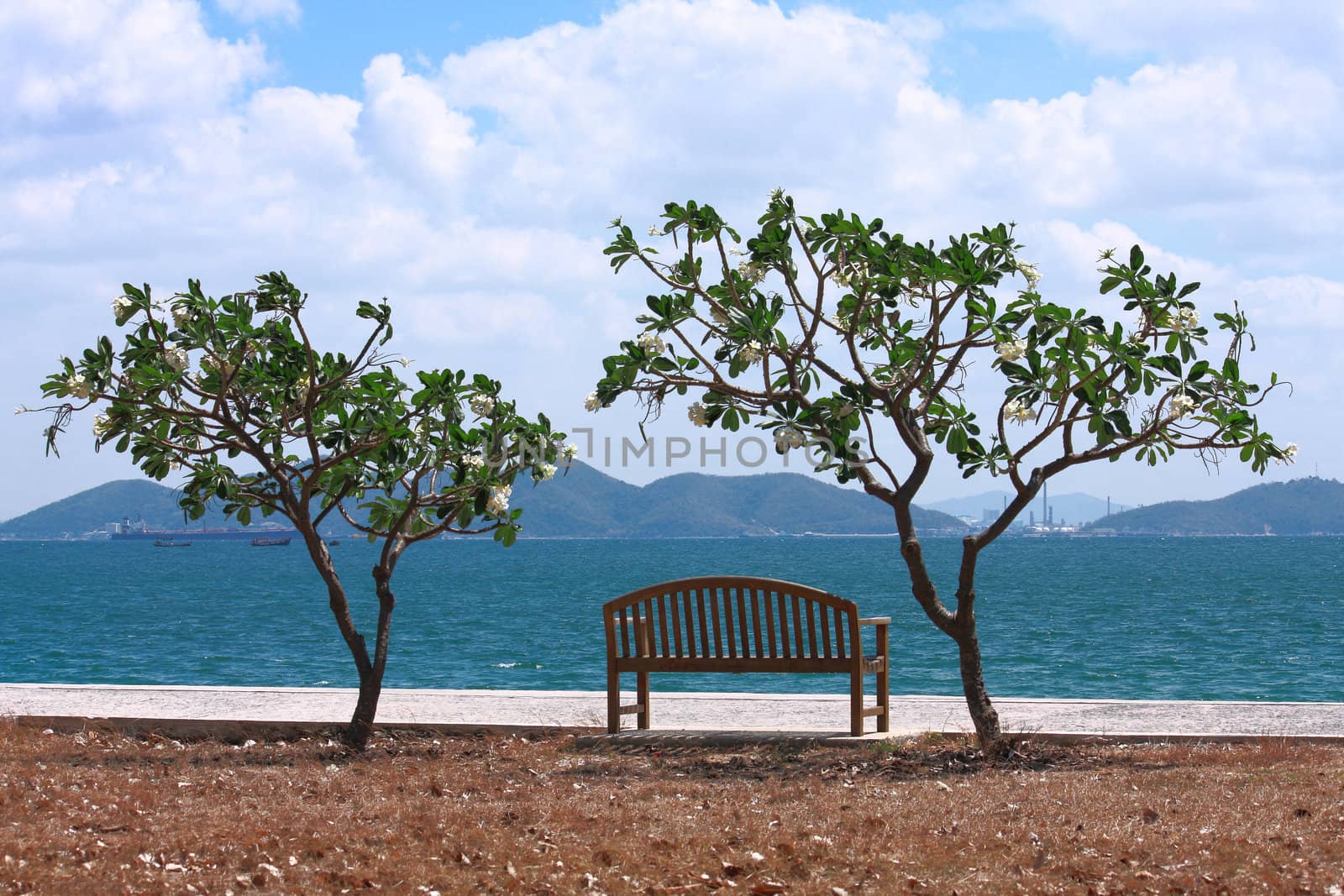 A view of Sichang Island in Thailand,with plumeria trees and chair provided for sitting to relax. There are many kind of boat around this island, such as fishing boat, cargo ship,barge ,etc.