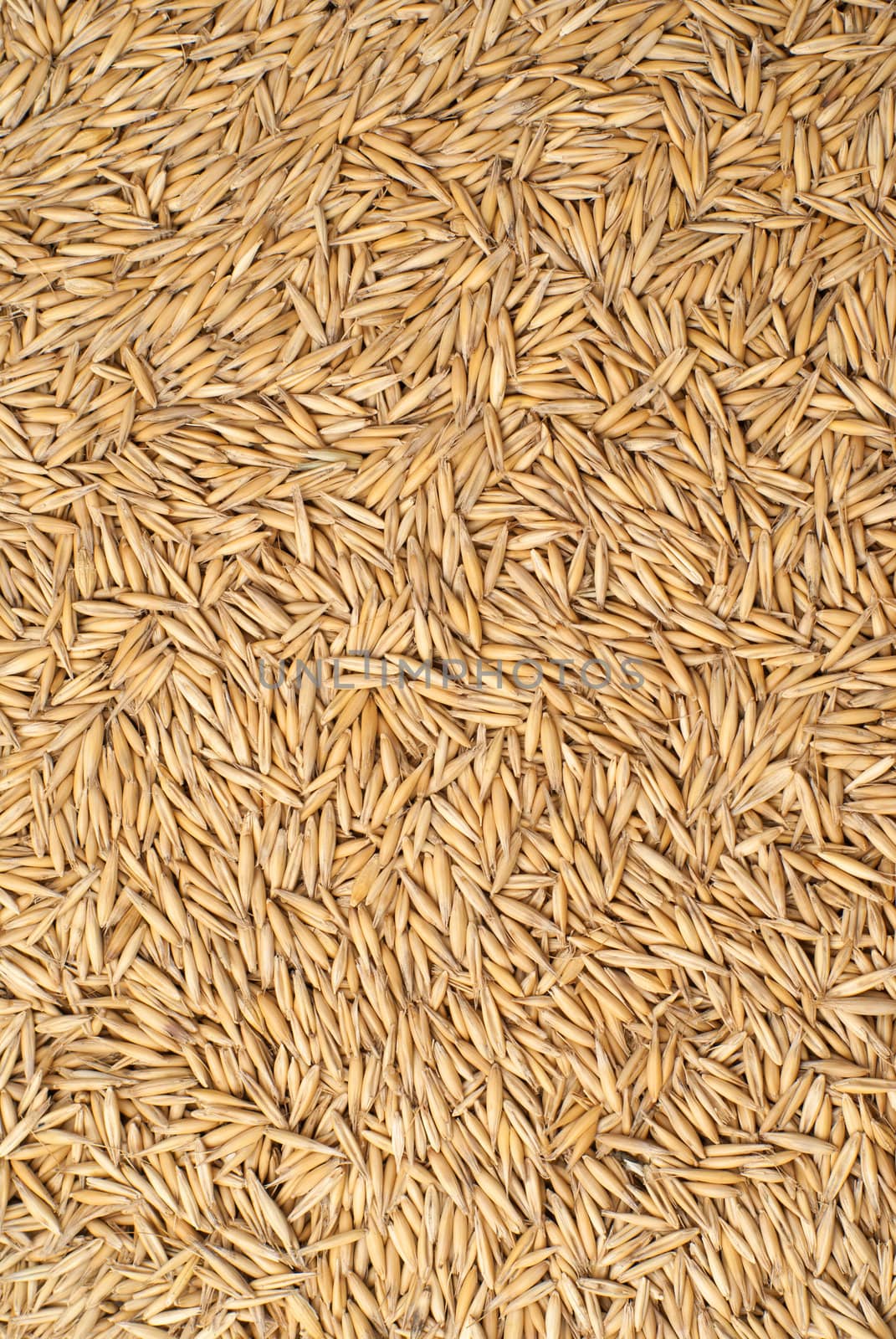 poured oat