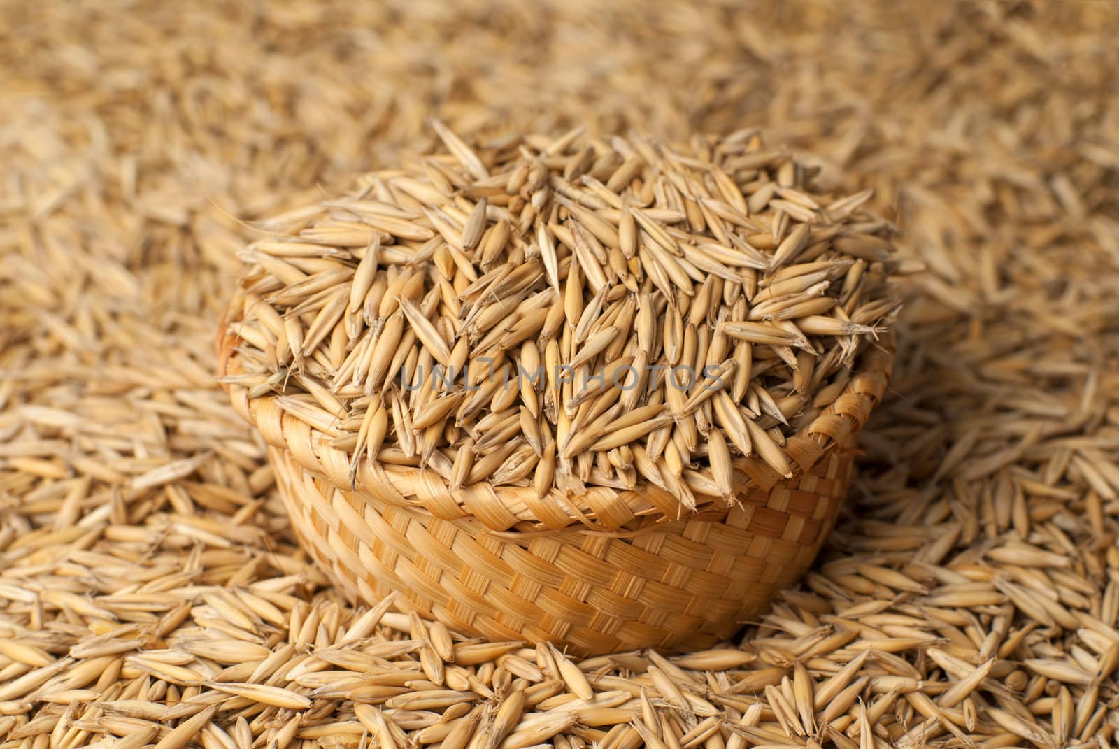 oat in basket