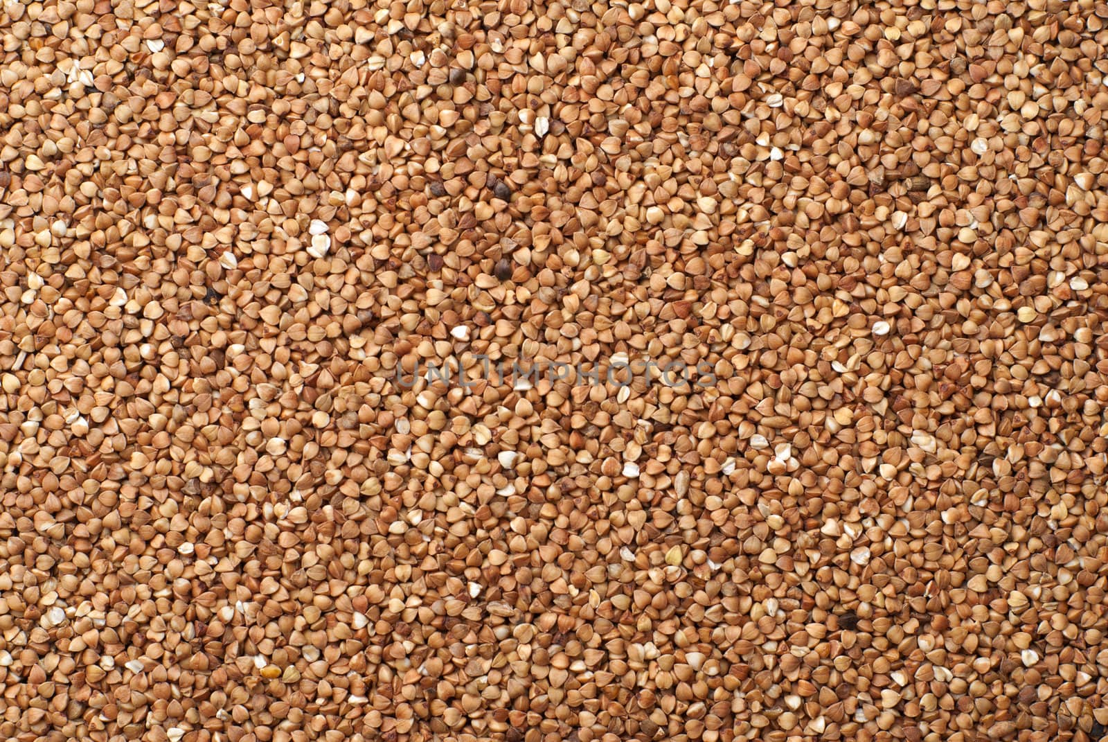 buckwheat