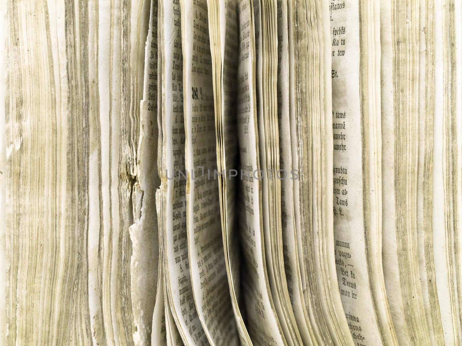 Photo of the old open book pages