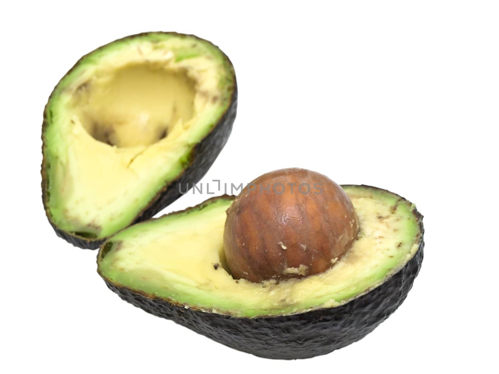 isolated single avocado against the white background