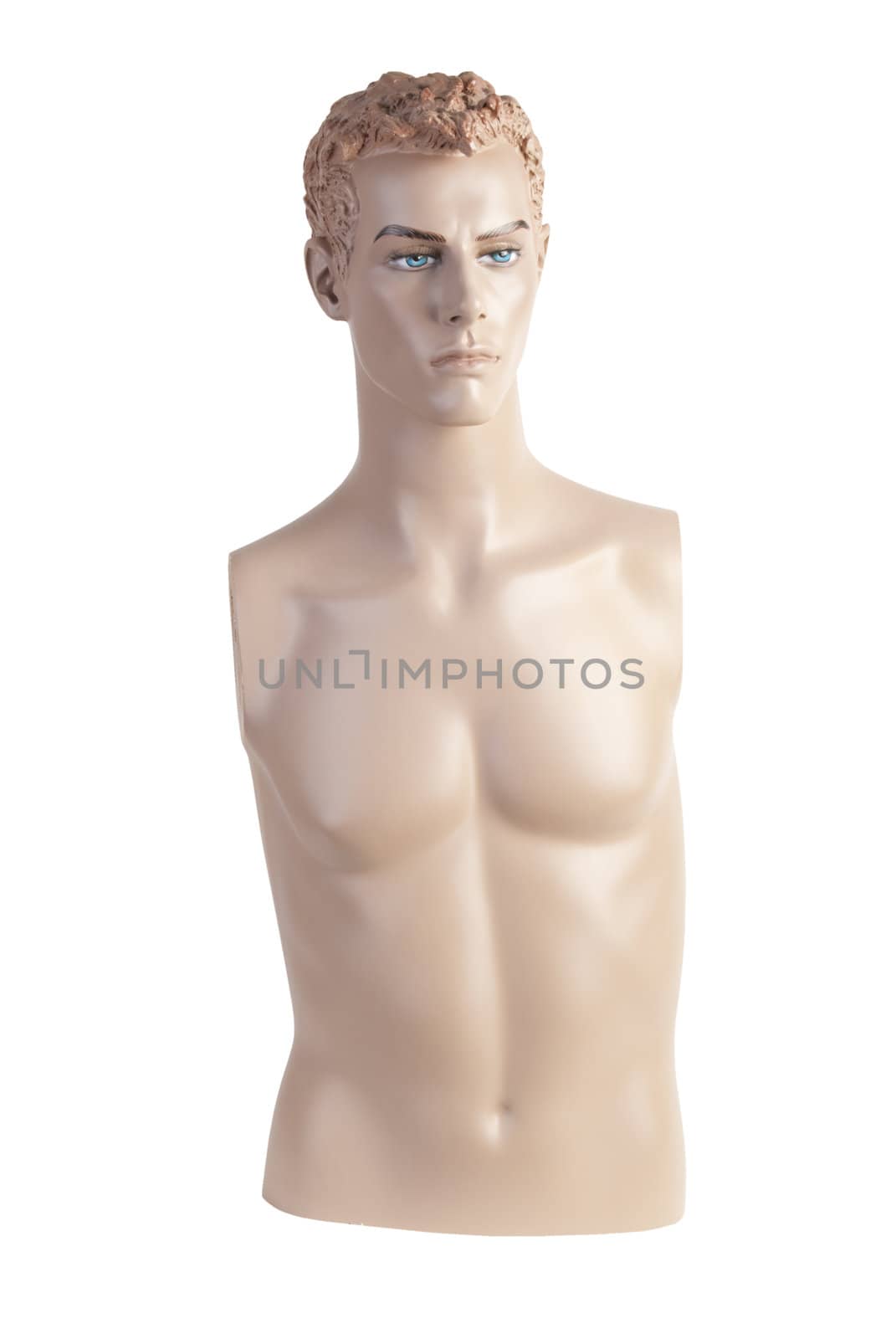 Plastic male detailed dummy torso and head. Isolated on white background