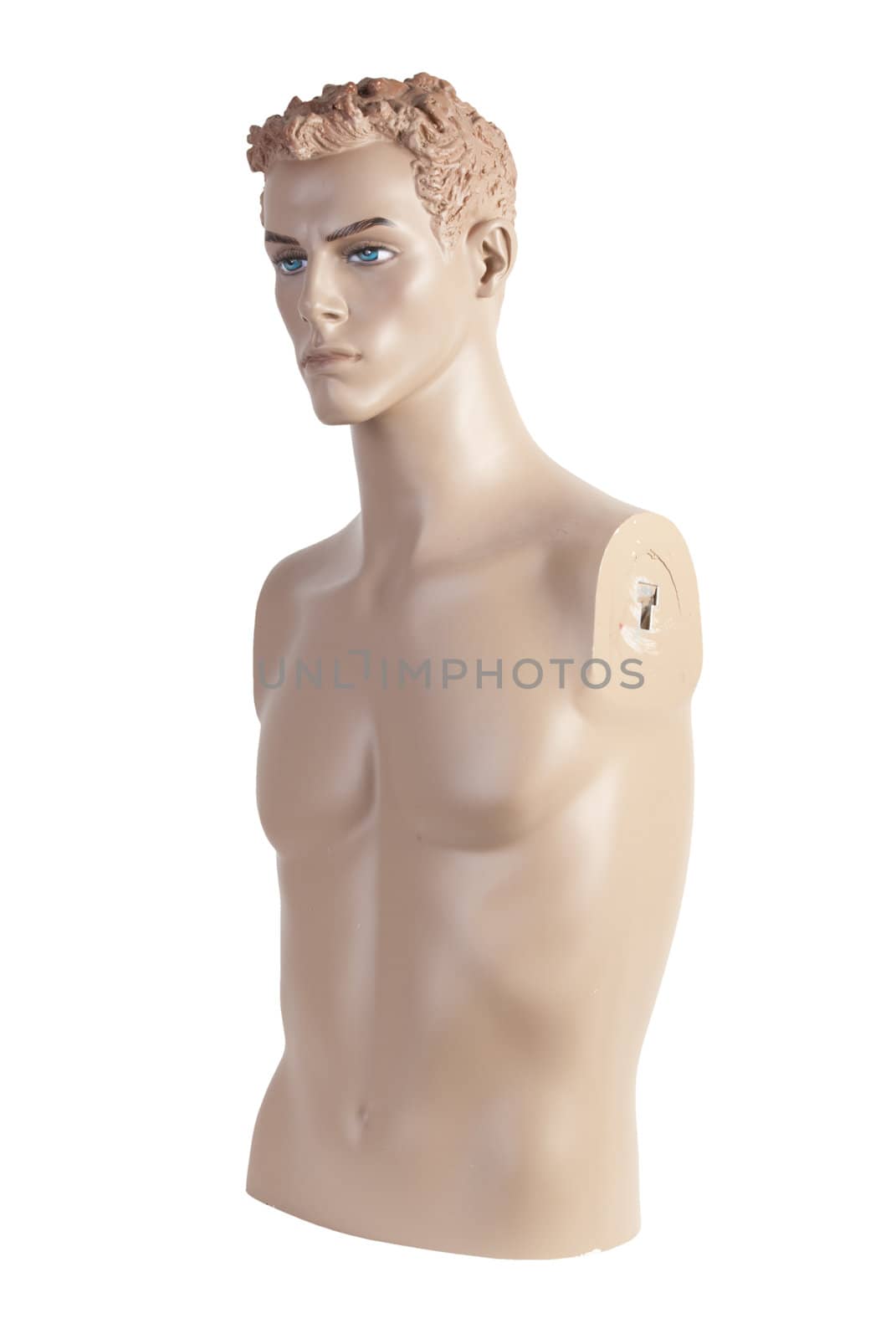 Male mannequin torso | Studio isolated by zakaz