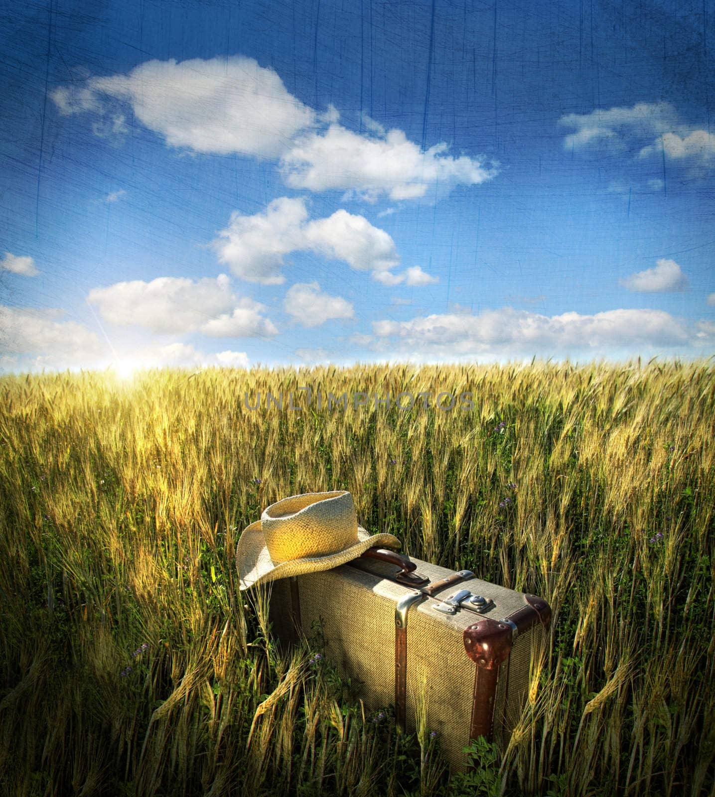 Old suitcase with straw hat in wheatfield