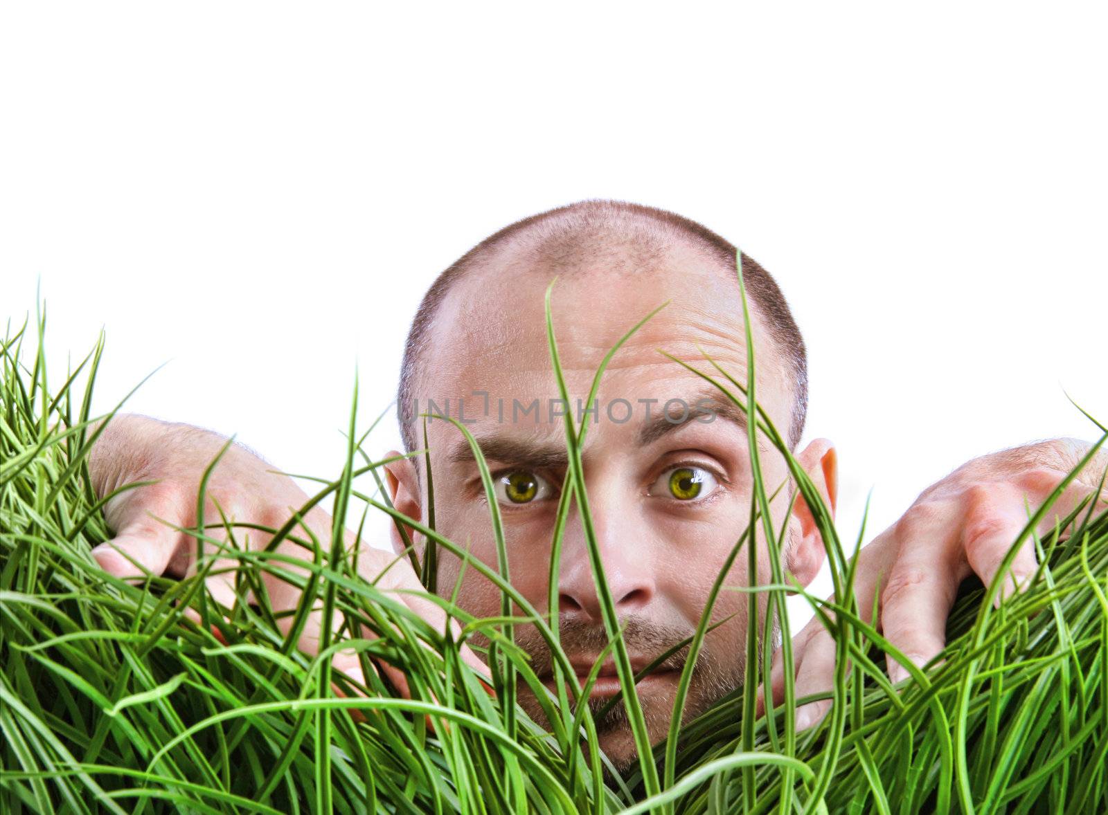 Man peering through tall grass by Sandralise