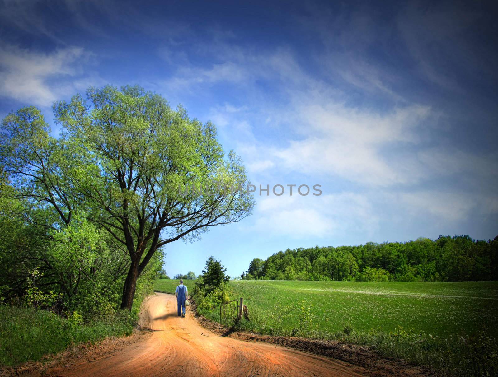 Dusty road on a beautiful spring day by Sandralise