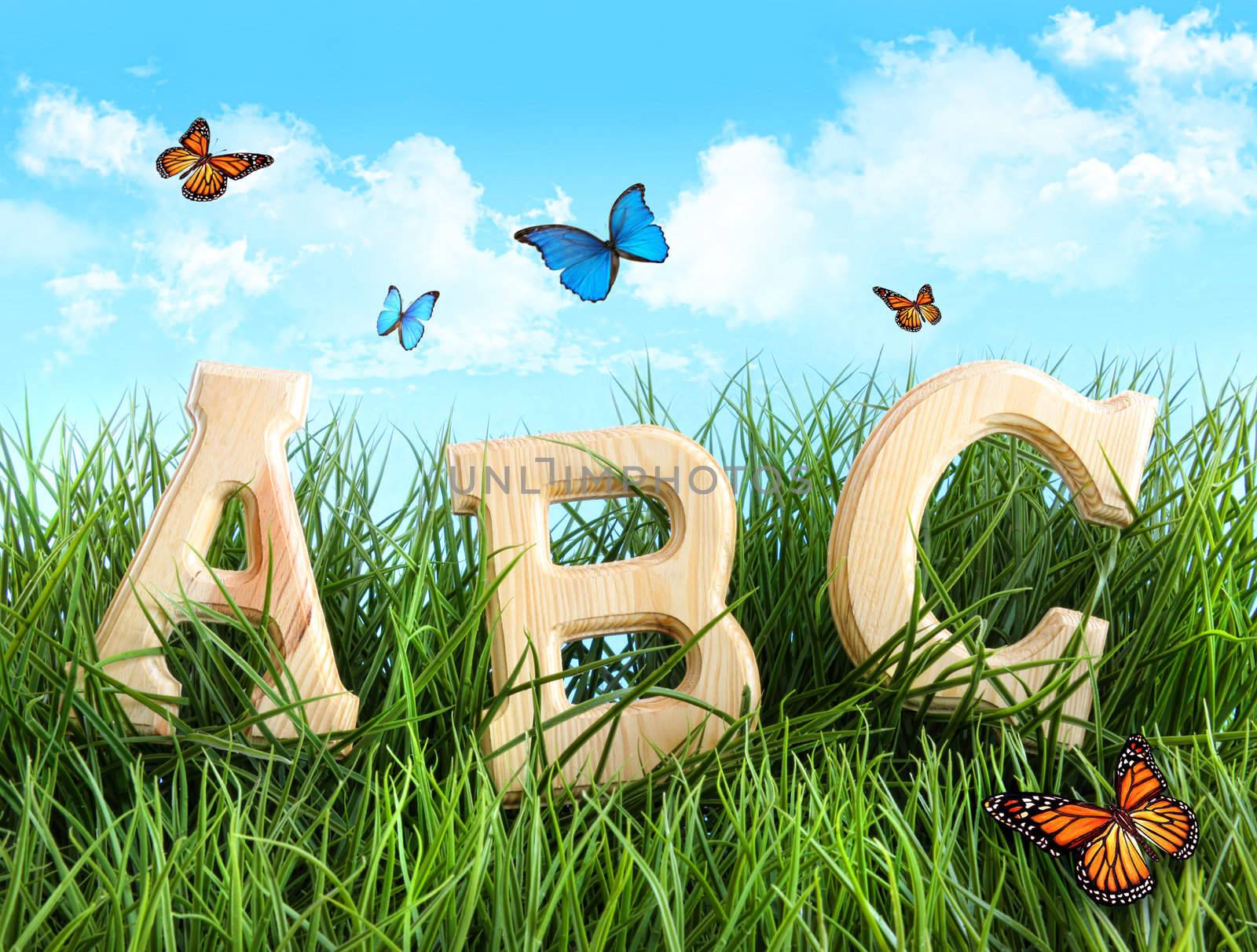 ABC letters in the grass with butterflies by Sandralise