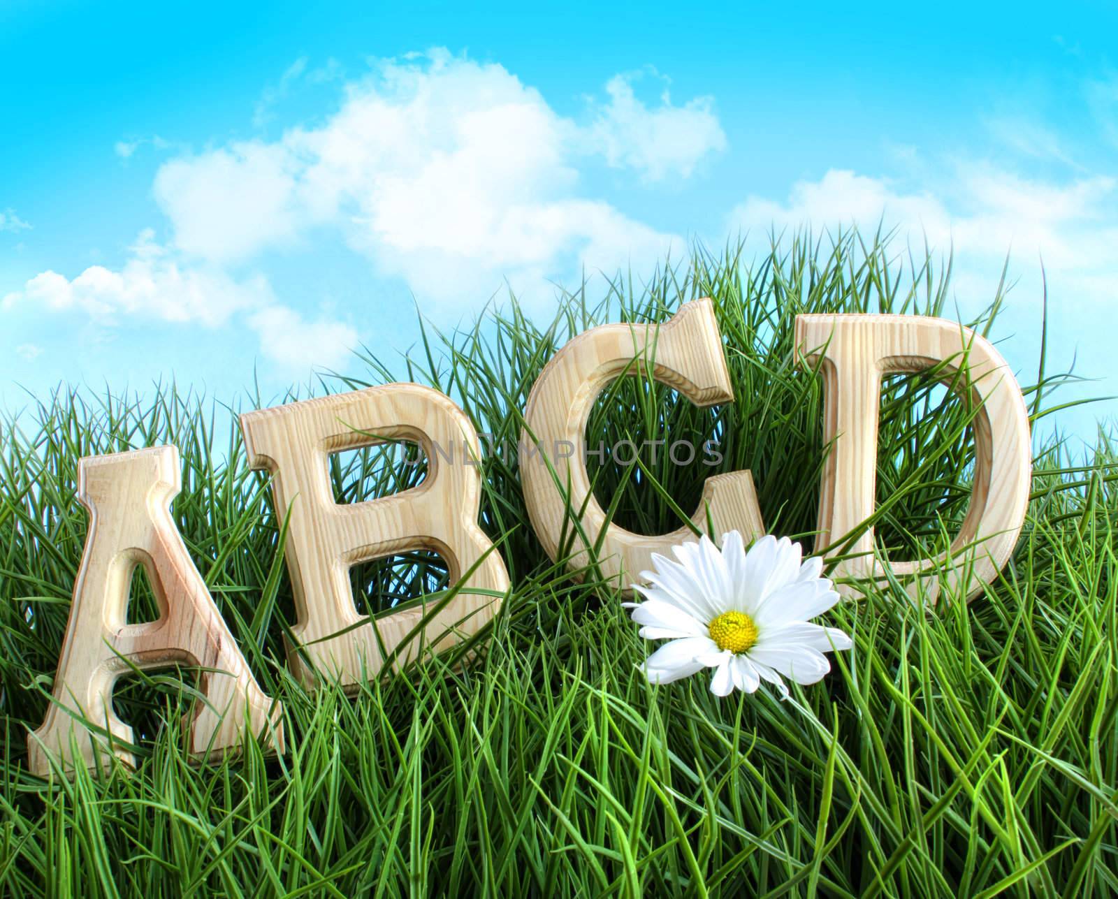 ABC letters with daisy in grass by Sandralise