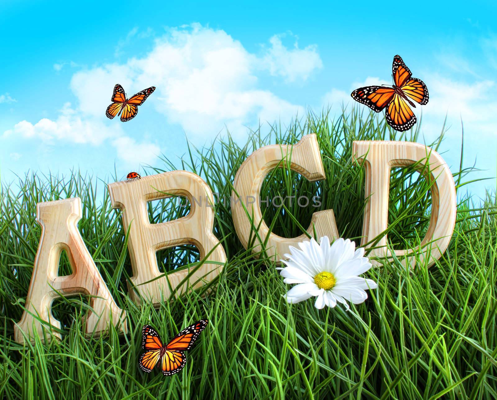 ABC letters with daisy in grass by Sandralise