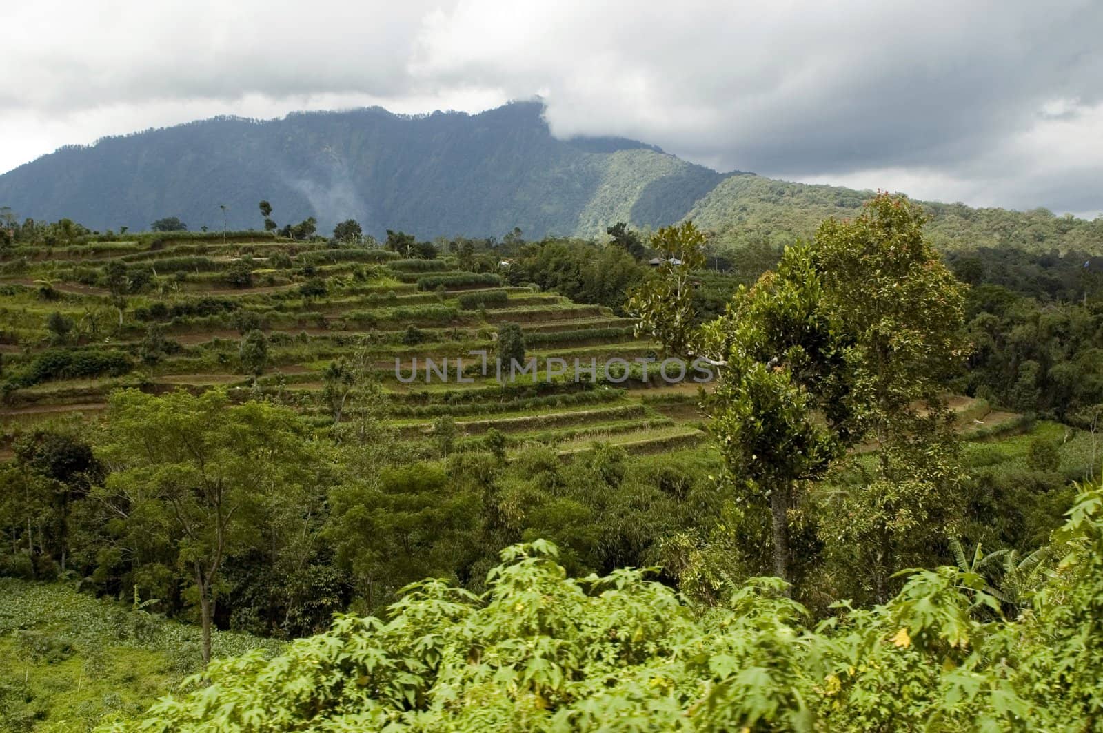 Indonesia, Bali Island with typical landscape. Green rice fields, palm trees, mountains and volcano.
