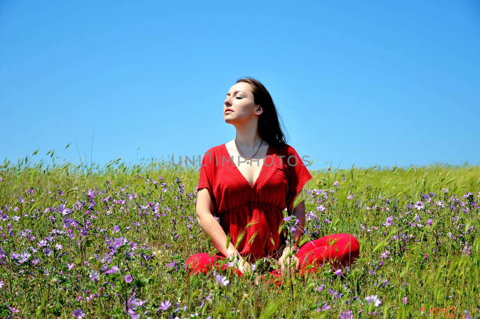 brunette girl resting in the grass in  summer  time