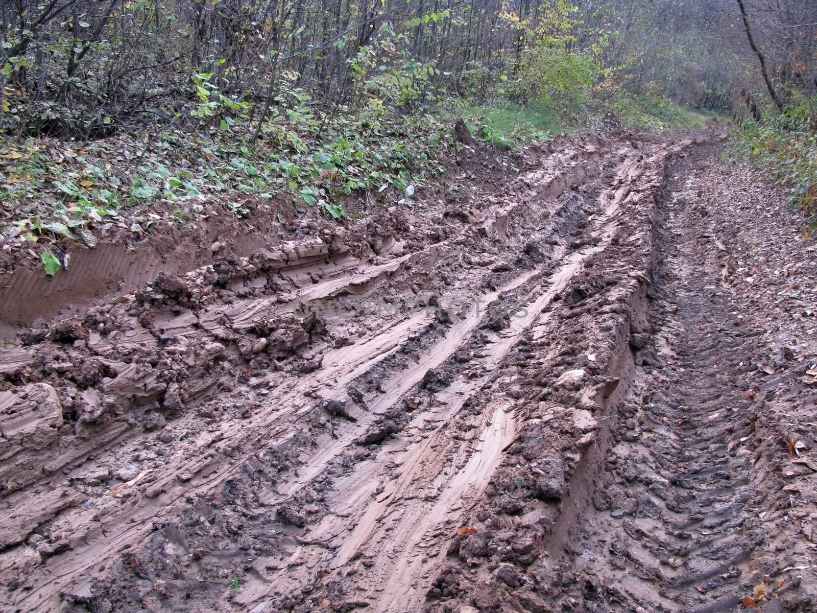 Track; road; a dirt; dragged