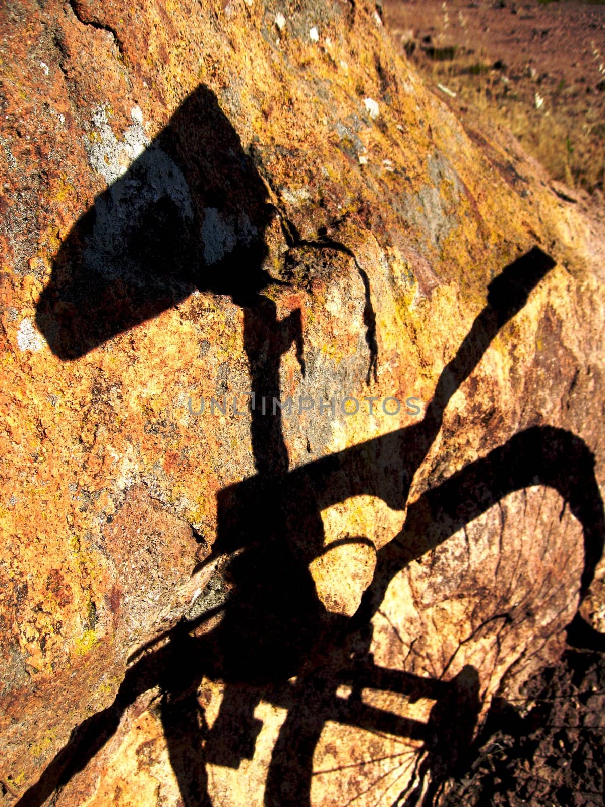 Shadow bike by Esterel