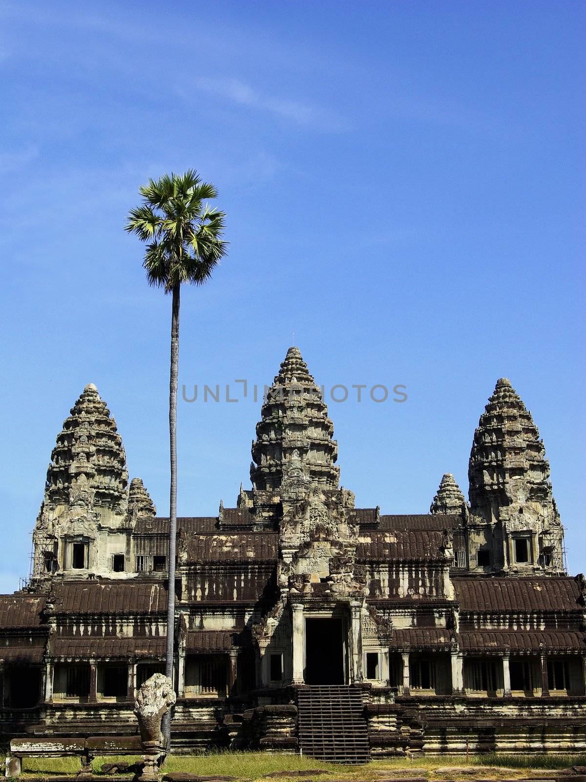 View of three towers of Angkor Wat temple with a high palm in Angkor