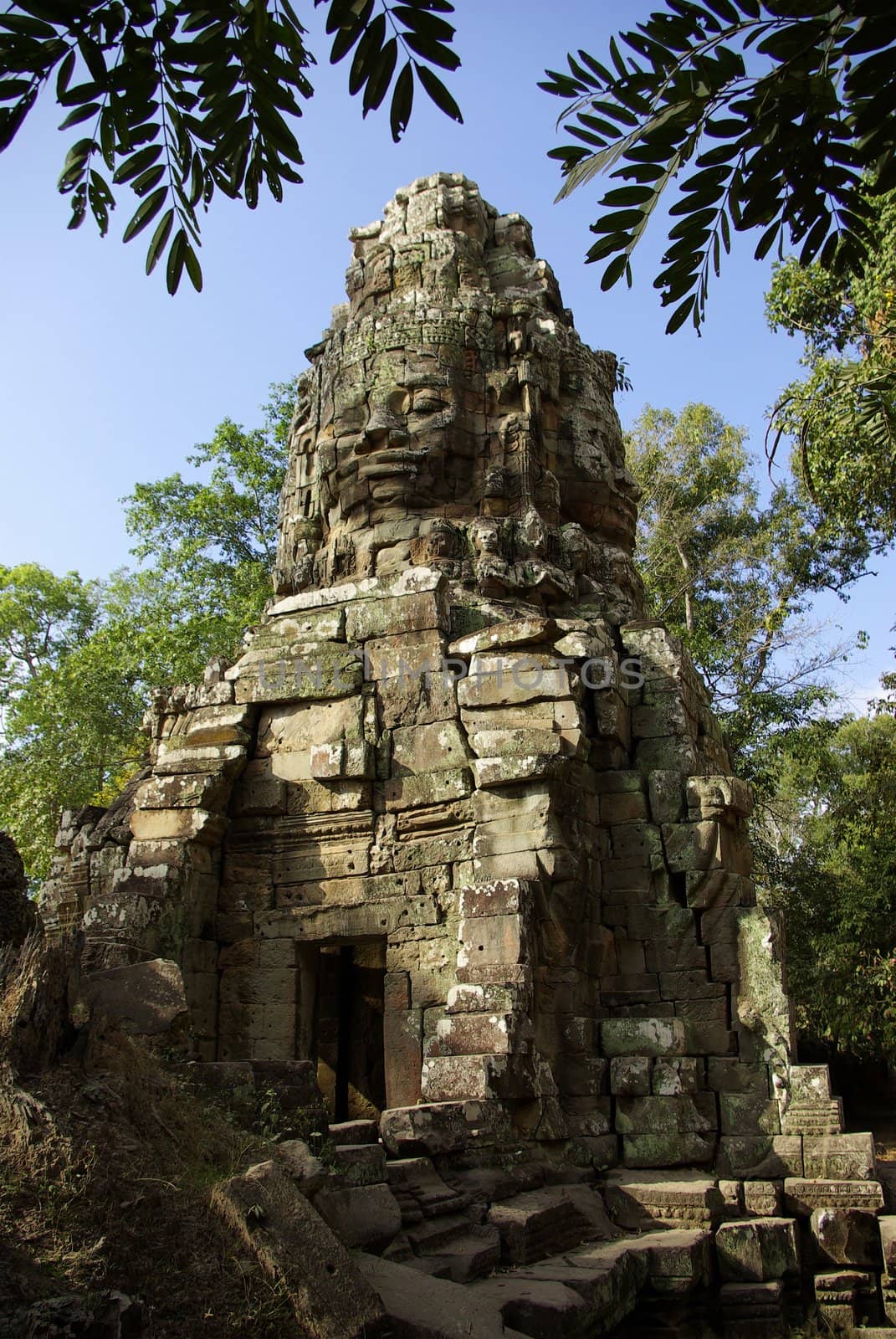 It's a view with vegetation of one tower of the Bayon temple in Angkor