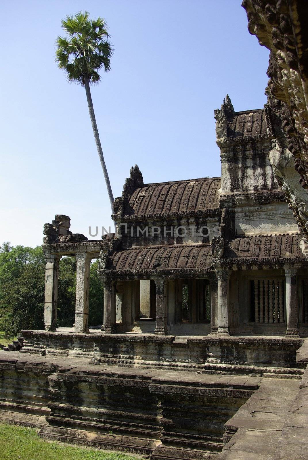 It's an unusual part of Angkor Wat temple with a high palm