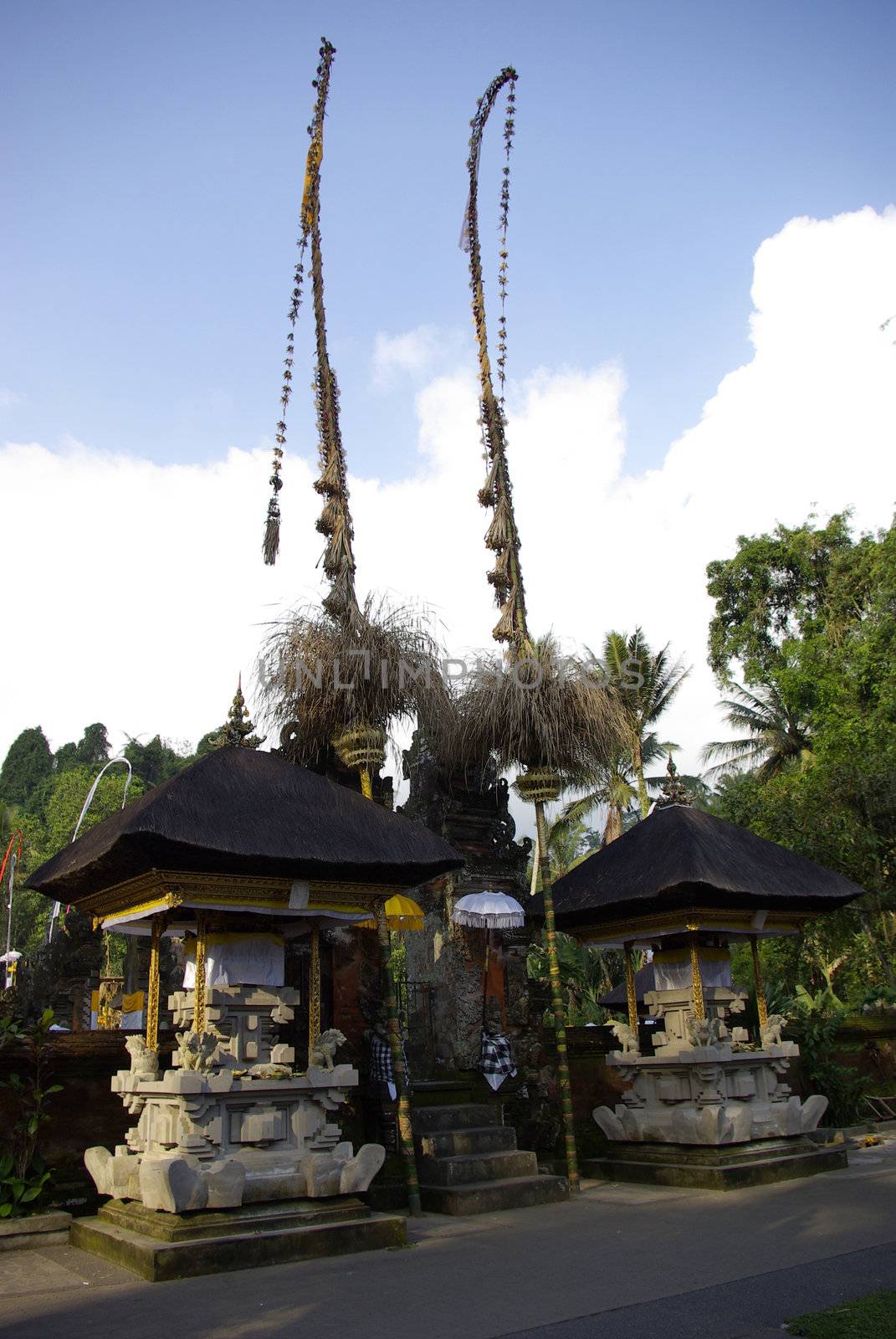 Bamboos decorated for the party in a Balinese temple by shkyo30