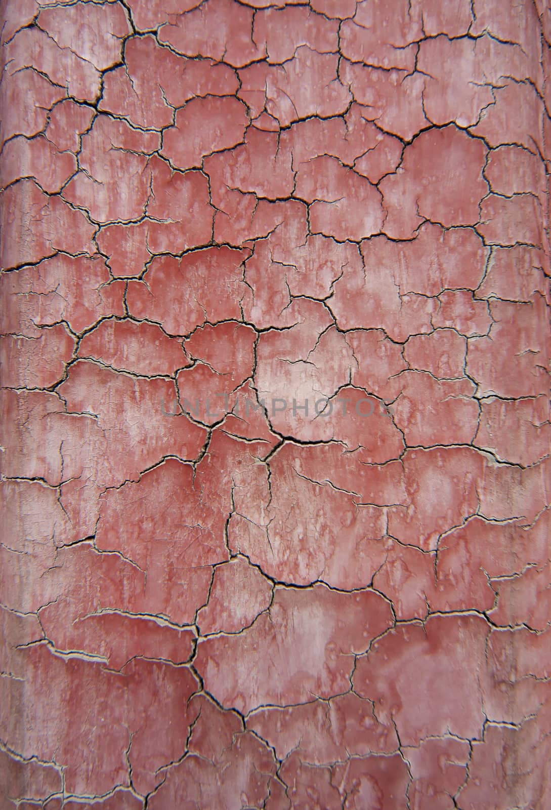 Paint cracking up on red wall - detail shot.