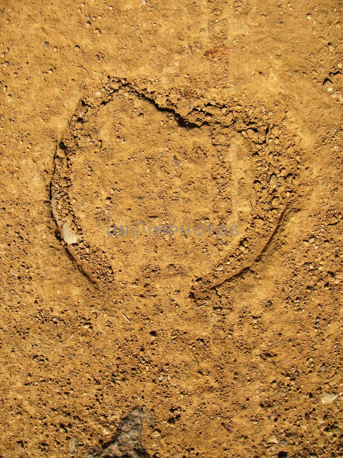 Print of horse shoe in sand