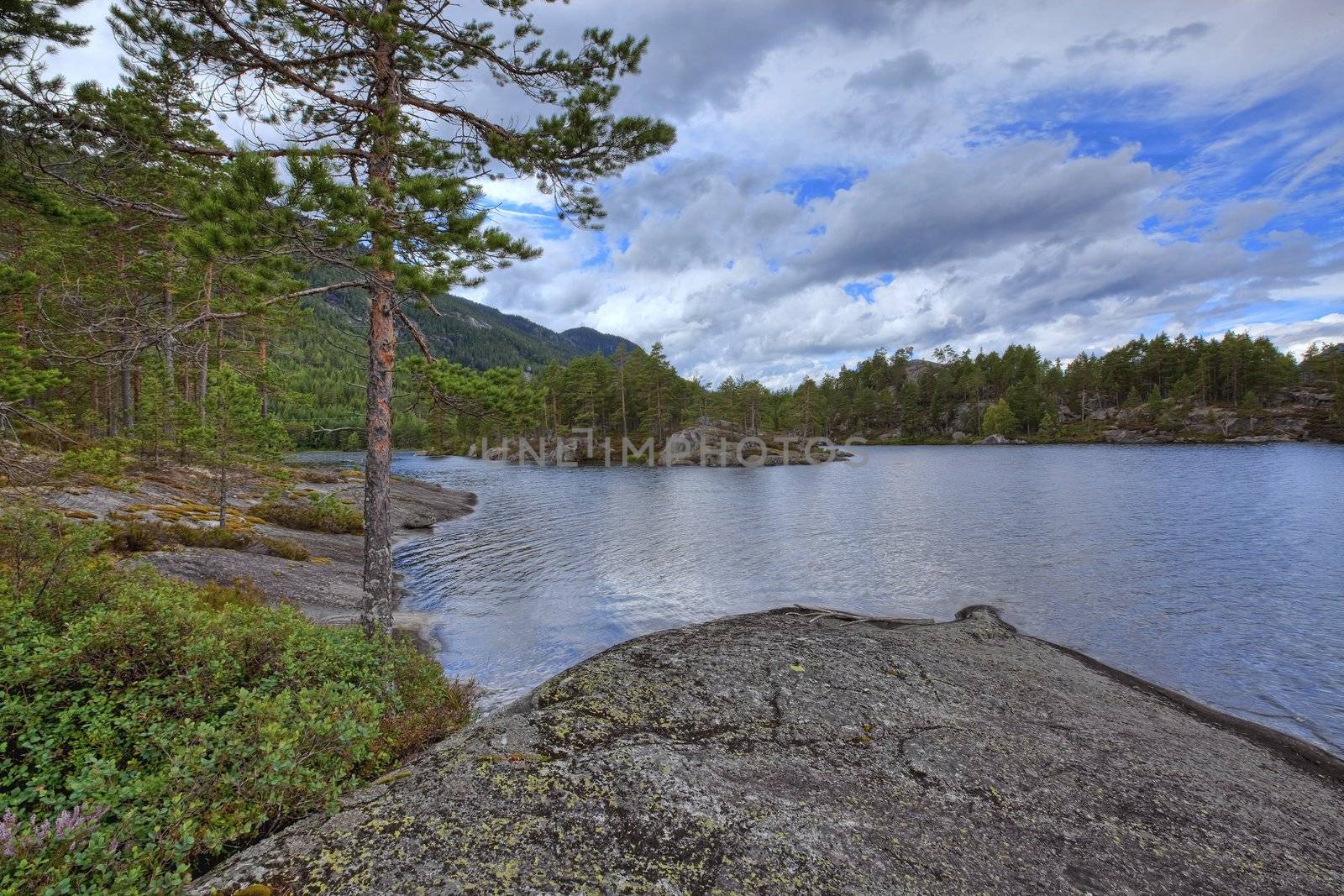 Norwegian woods by kjorgen