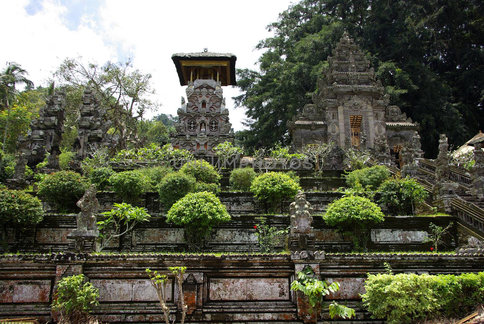 This is the big entrance in stone with vegetation of a Balinese temple