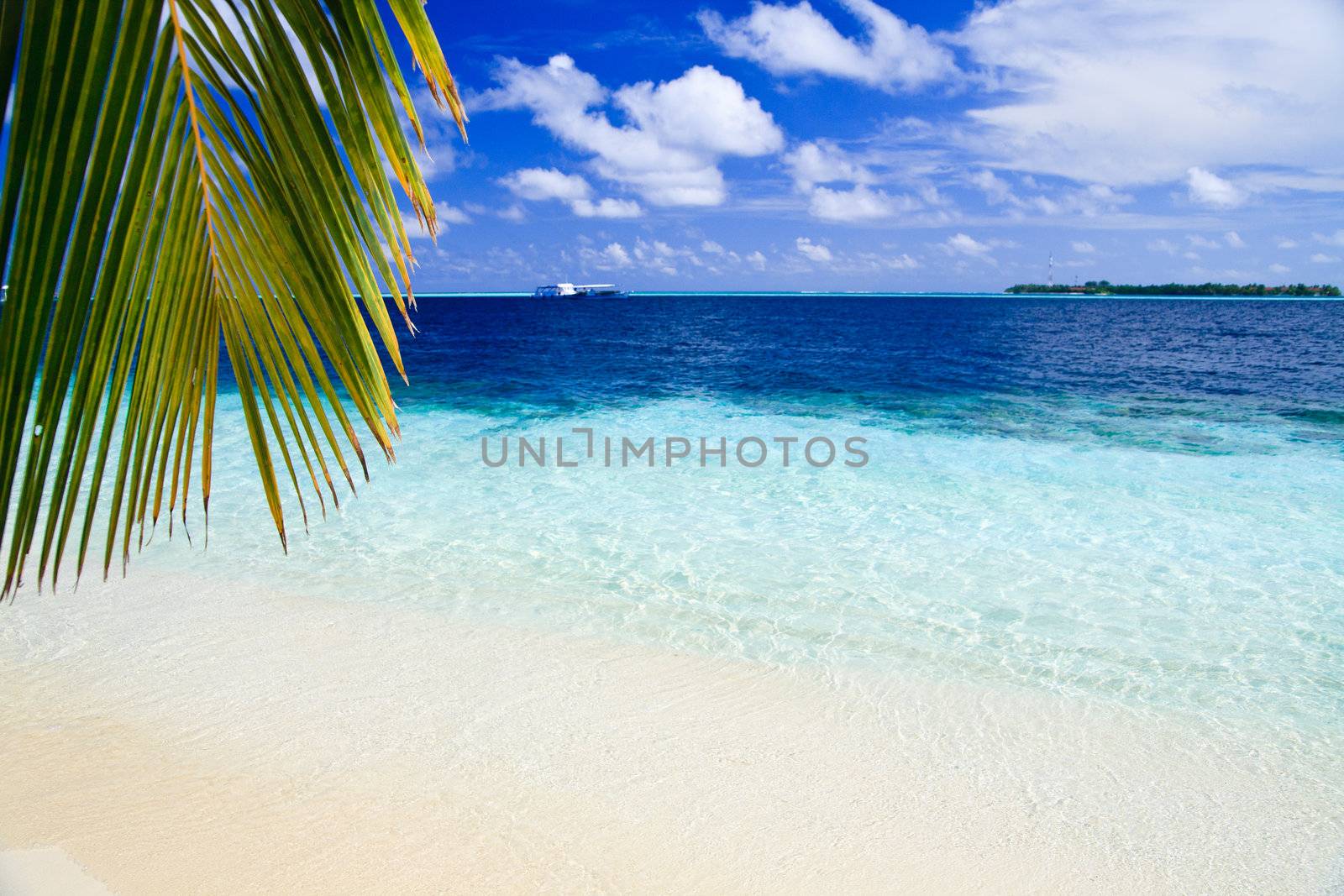 Tropical Paradise at Maldives with palms and blue sky