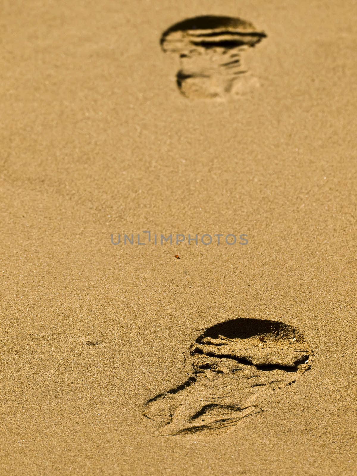 Footprint in the sand on a tropical beach