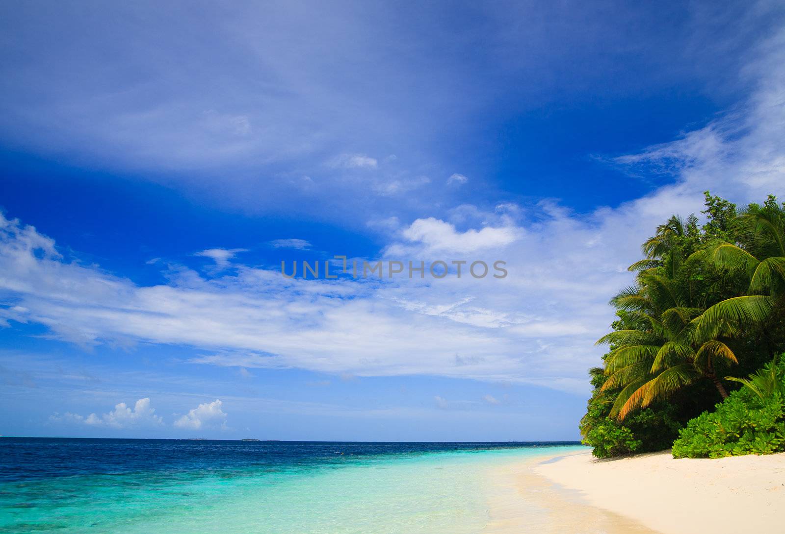 Tropical Paradise at Maldives with palms and blue sky