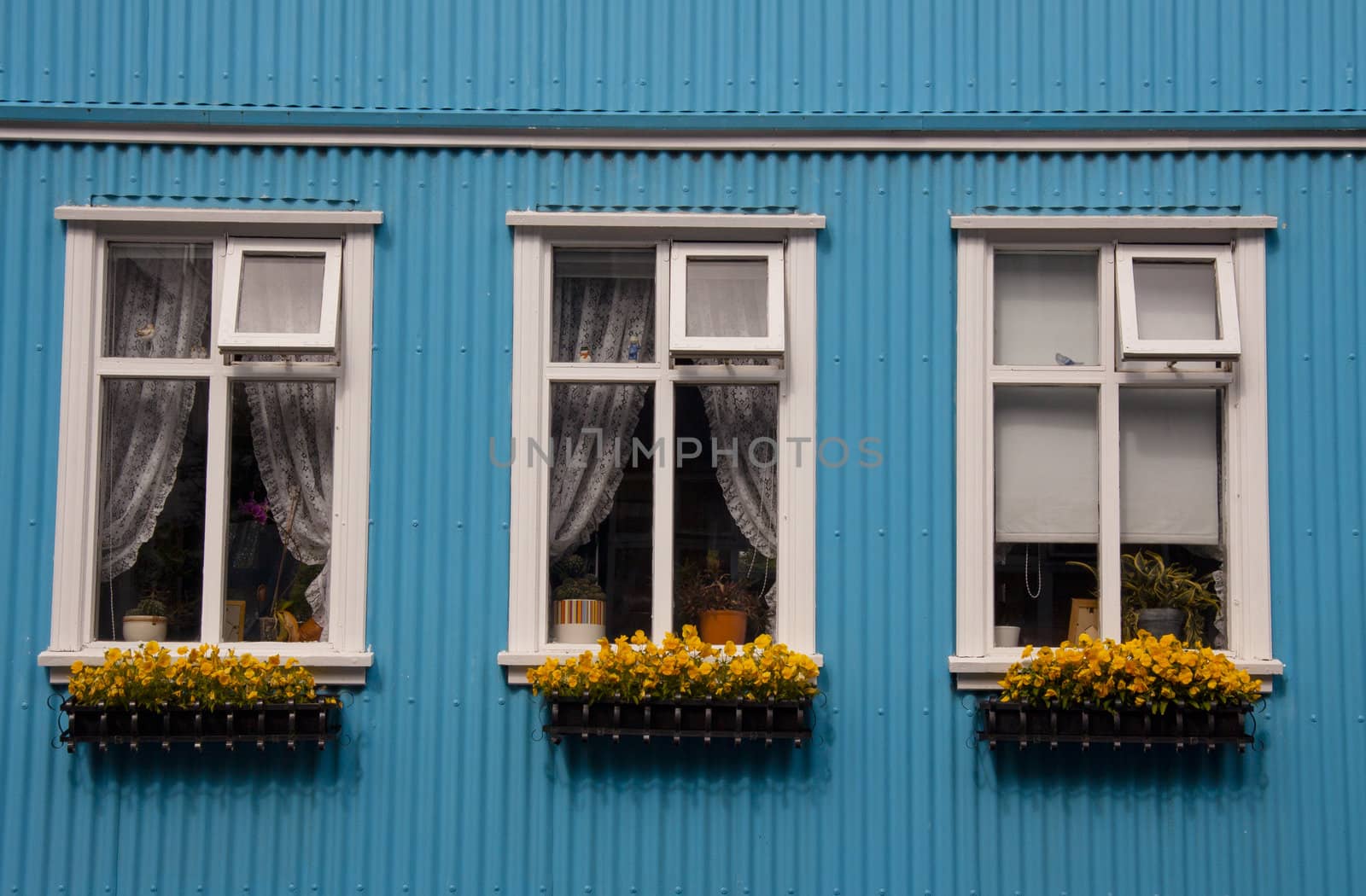 Three typical windows in Reykjavik - Iceland
